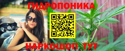стаф Берёзовский