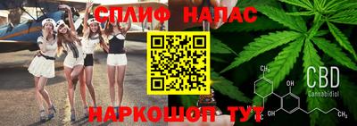 стаф Берёзовский