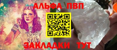 стаф Берёзовский