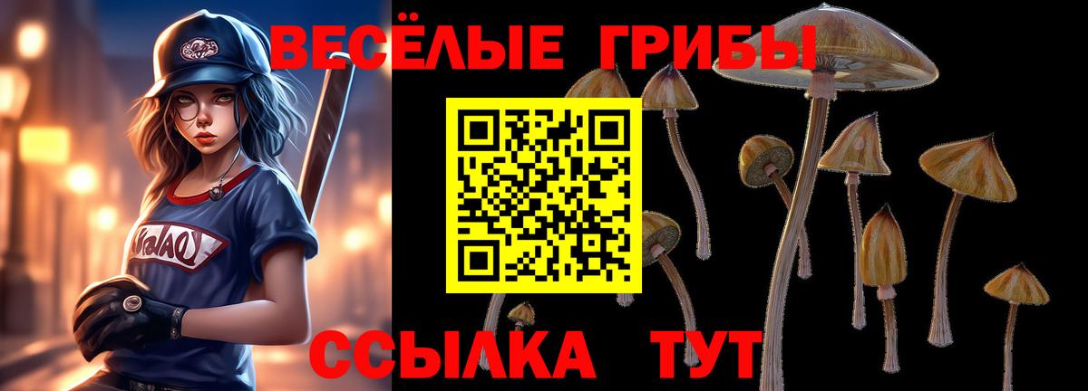 купить   Вход с VPN  Биробиджан  Галлюциногенные грибы ЛСД 